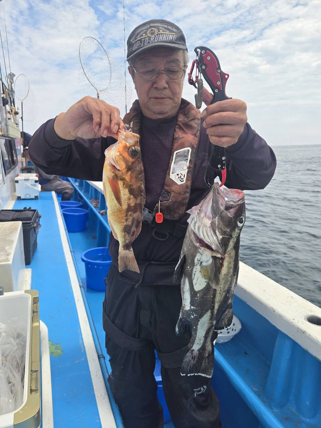 イシナギ(オオクチイシナギ)・メバル