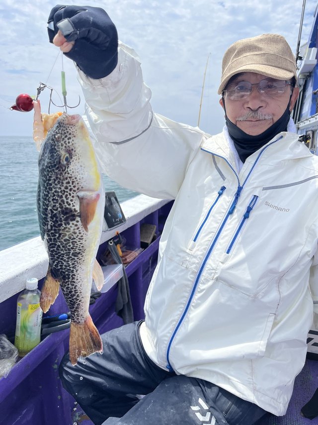 フグ(ショウサイフグ)