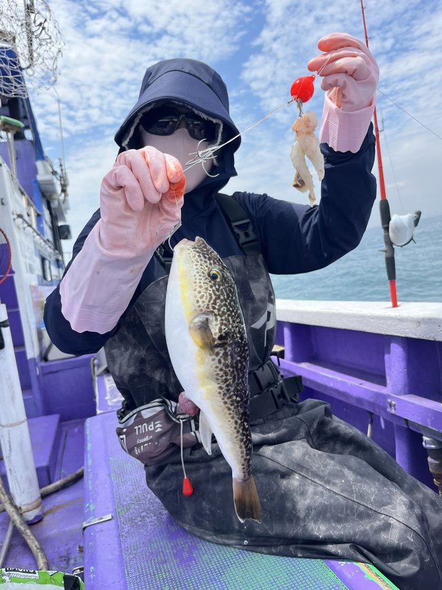 フグ(ショウサイフグ)