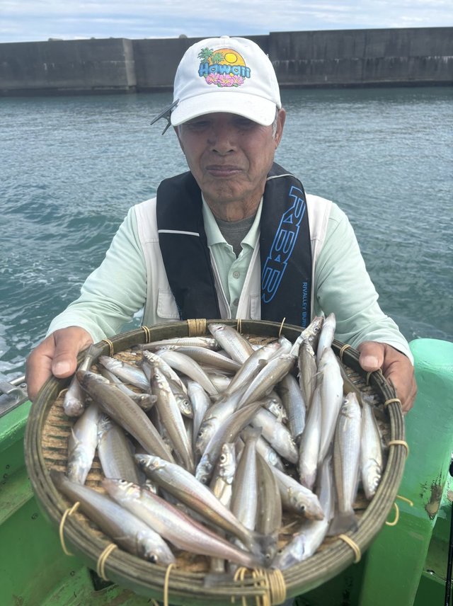 キス(シロギス)