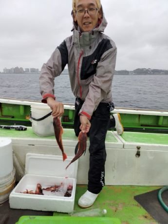 カサゴ・ホウボウ