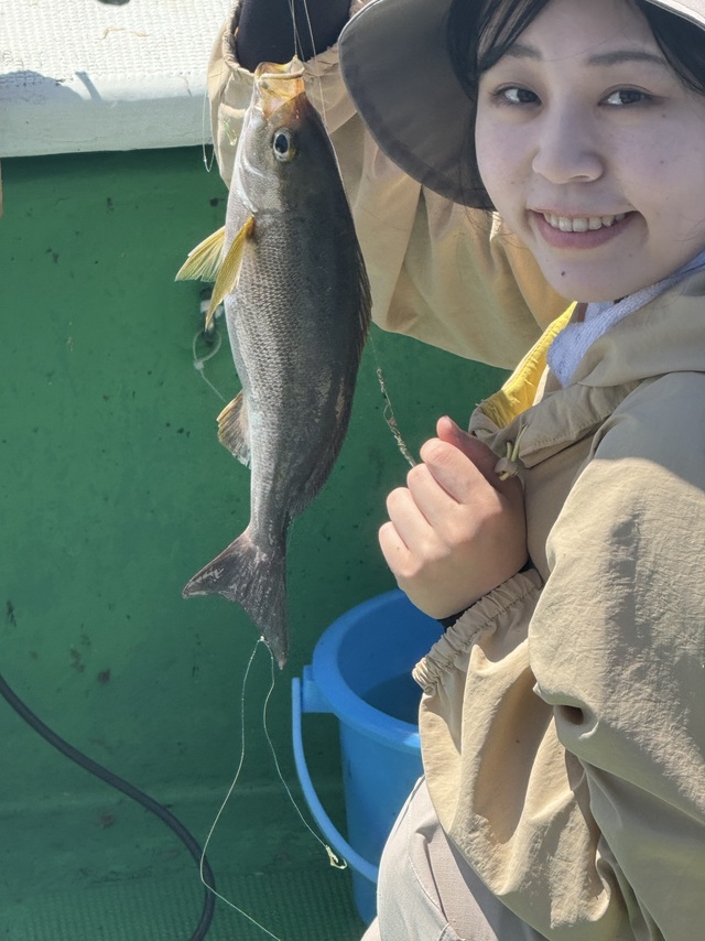 イサギ(イサキ)