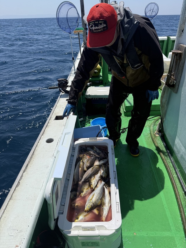 イサギ(イサキ)