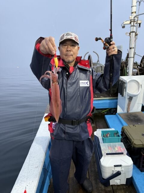 スルメ(スルメイカ)