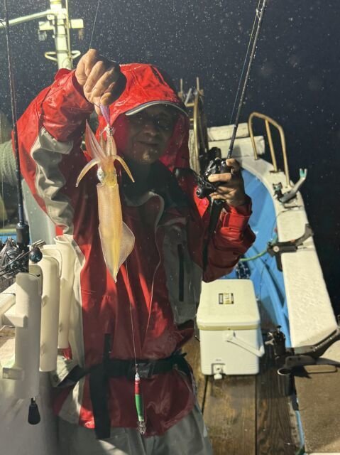 スルメ(スルメイカ)