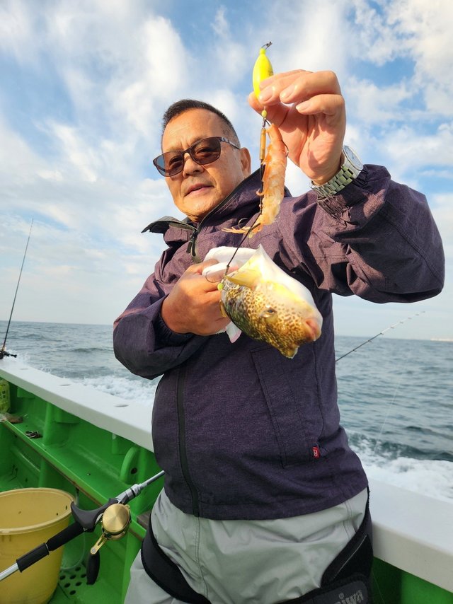 ショウサイフグ