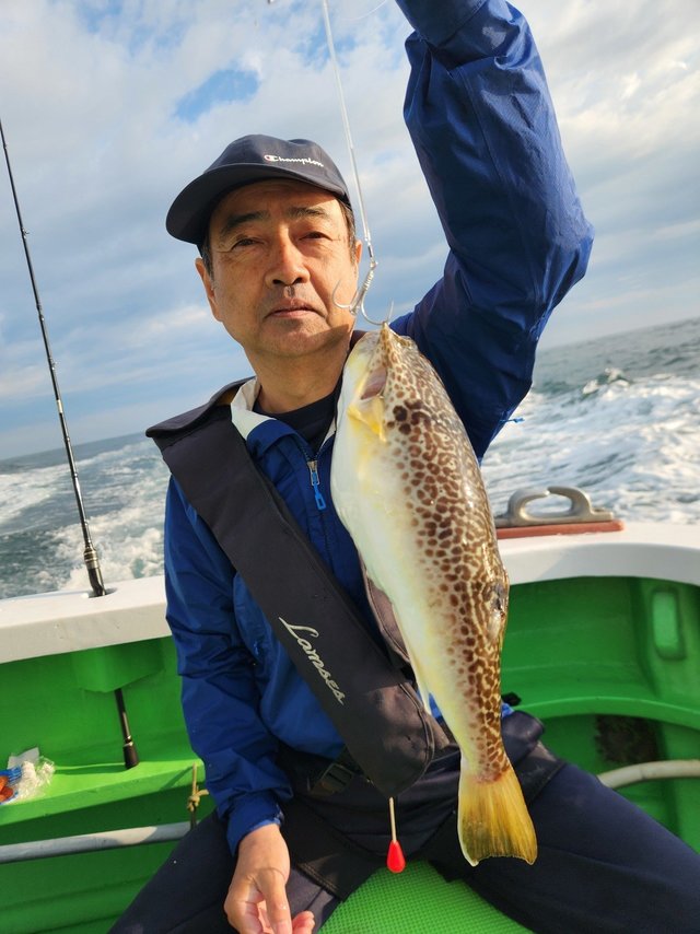 ショウサイフグ