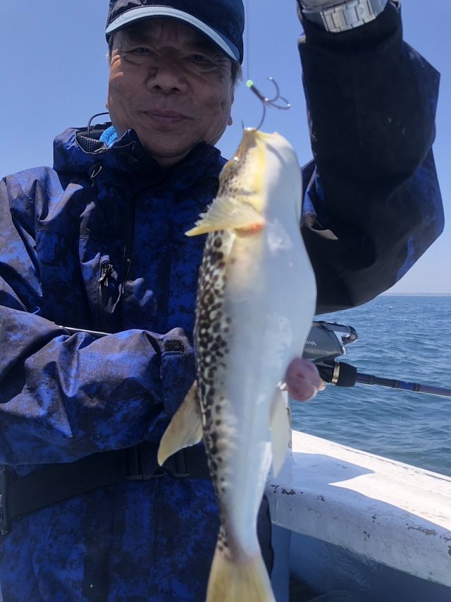 ショウサイフグ