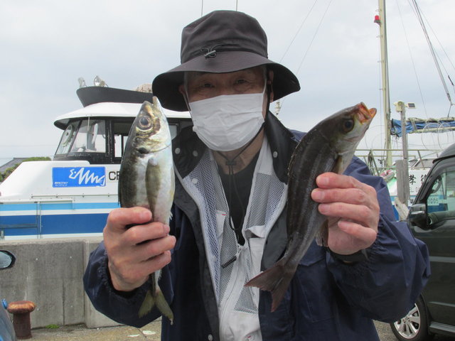 アジ(マアジ)・イサキ