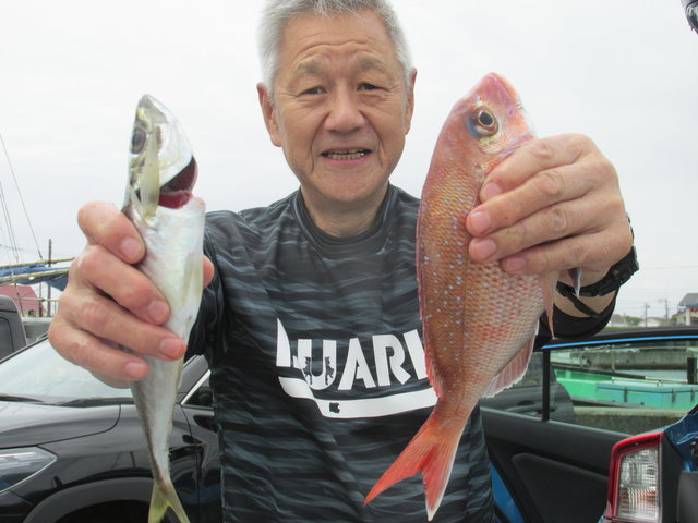 ハナダイ(チダイ)・アジ(マアジ)