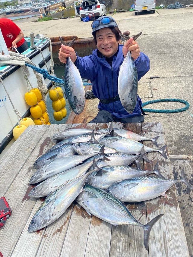 スマガツオ(スマ)