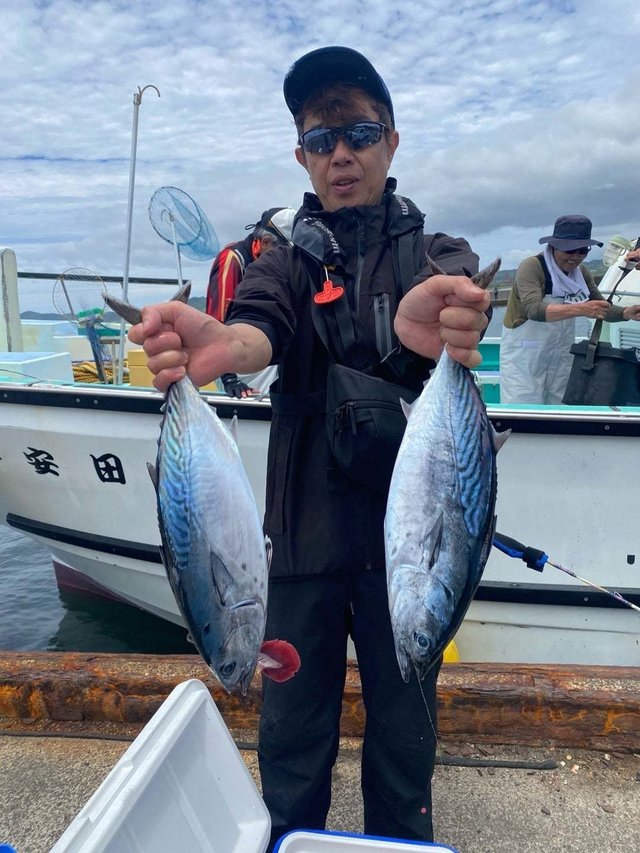 スマガツオ(スマ)