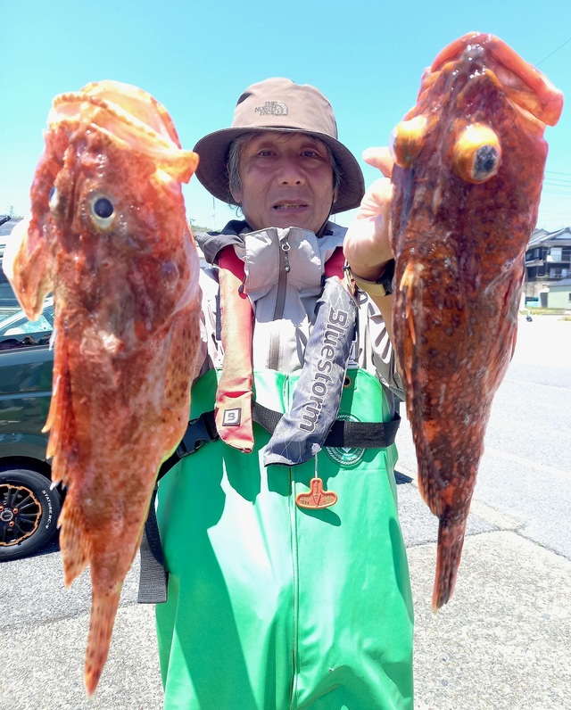 カンコ(ウッカリカサゴ)