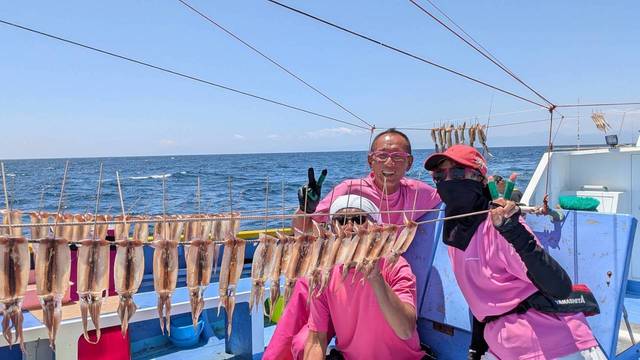 ムギイカ(スルメイカ)