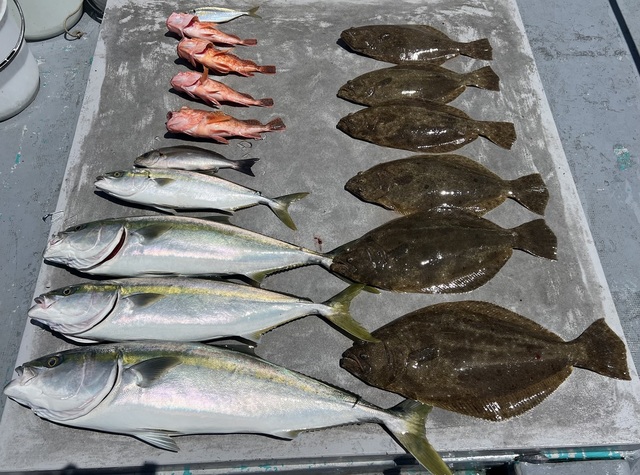 ブリ・メジロ(ブリ)・ヒラメ