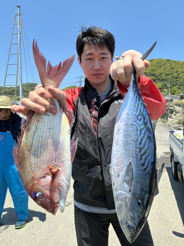 マダイ・スマガツオ(スマ)