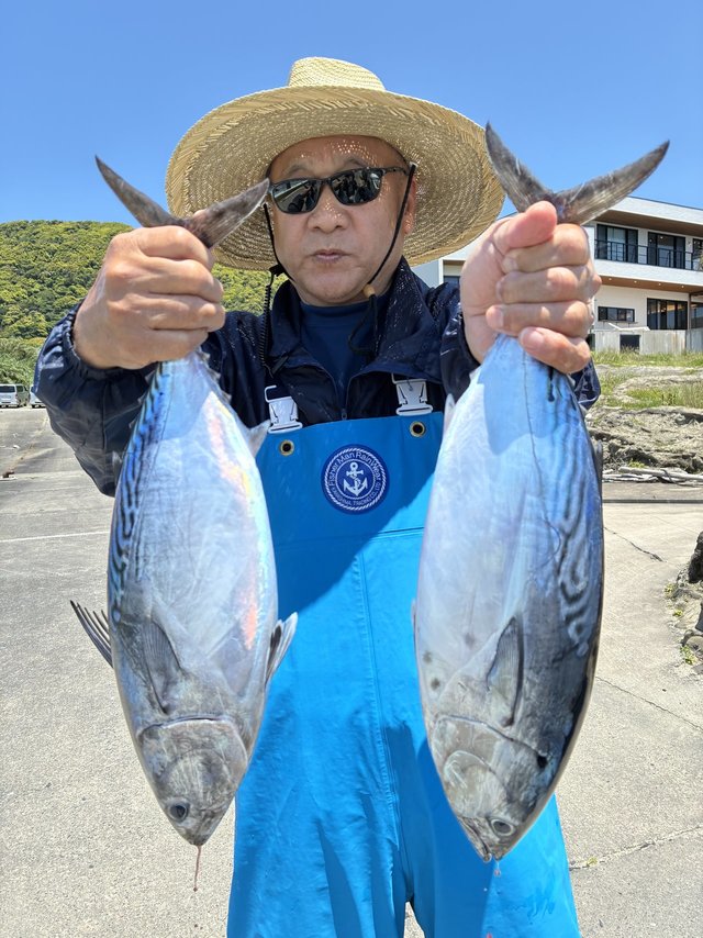 スマガツオ(スマ)