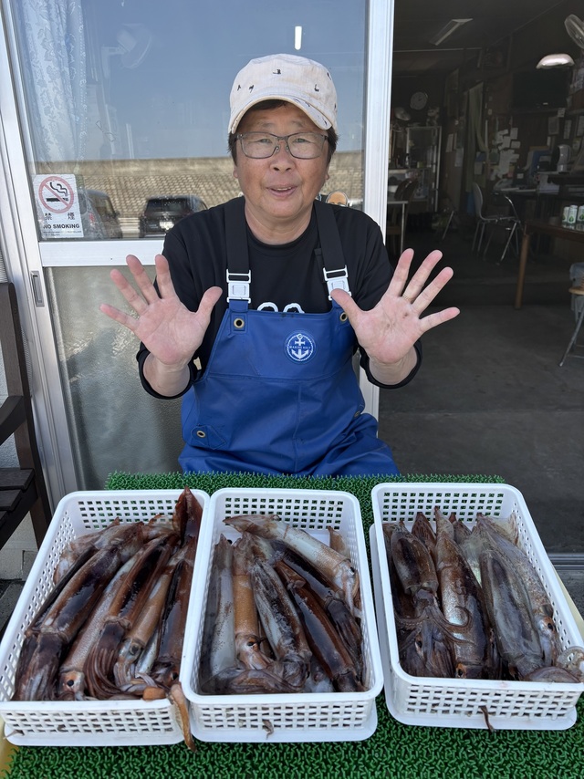 ムギイカ(スルメイカ)