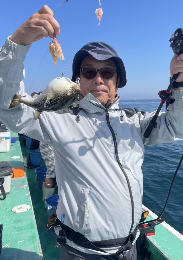 ショウサイフグ