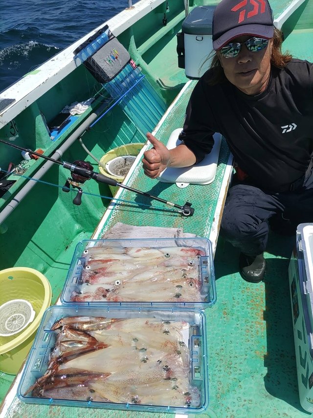 マルイカ(ケンサキイカ)