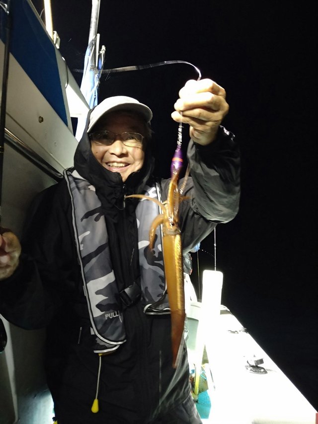 スルメ(スルメイカ)