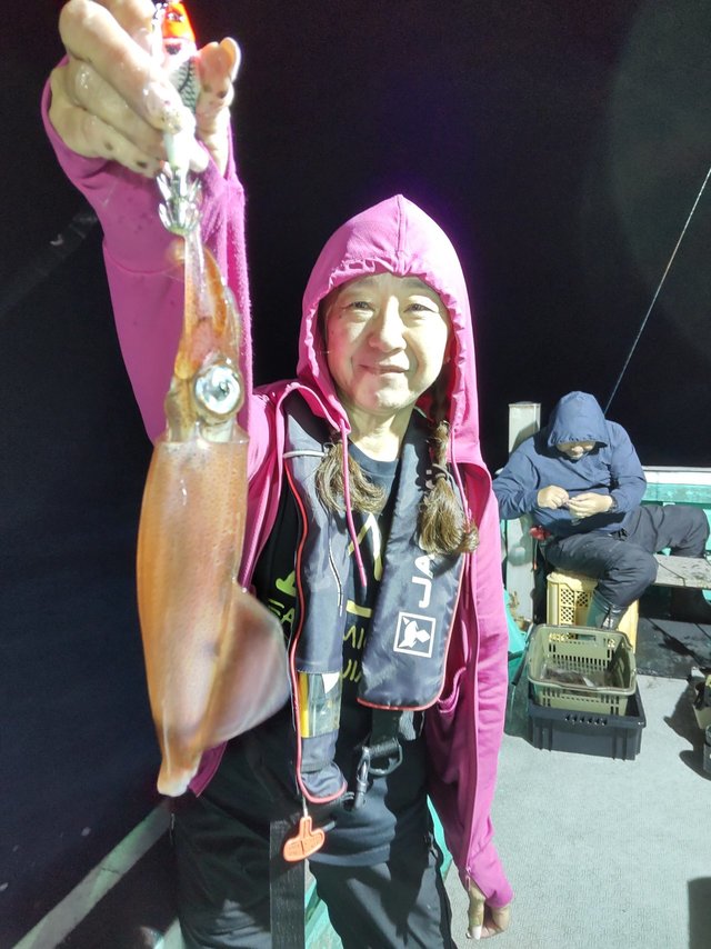 スルメ(スルメイカ)