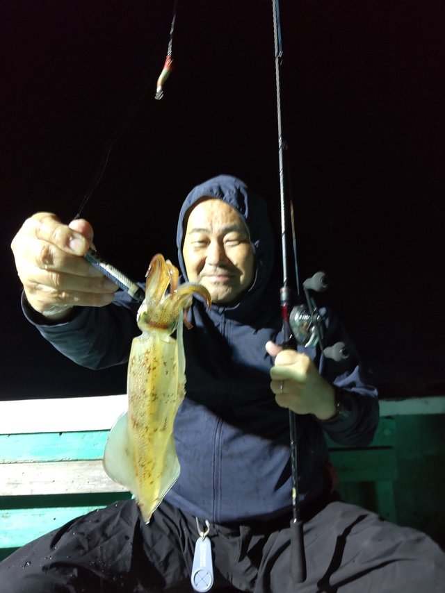 スルメ(スルメイカ)