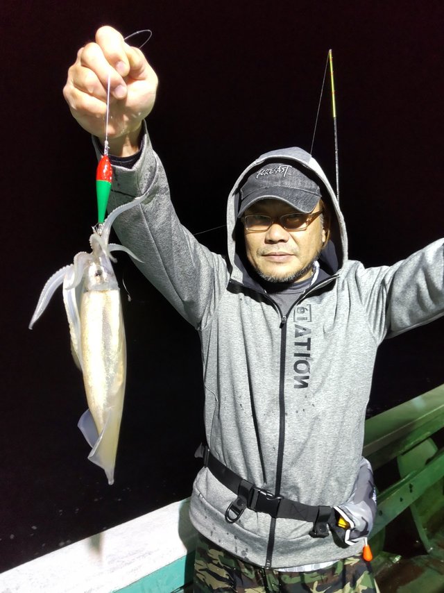 スルメ(スルメイカ)