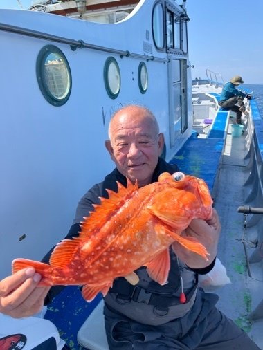 カンコ(ウッカリカサゴ)