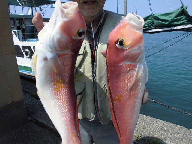 アマダイ(アカアマダイ)