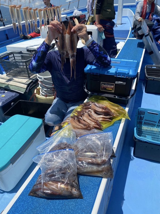 スルメ(スルメイカ)