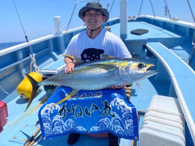 キハダマグロ(キハダ)