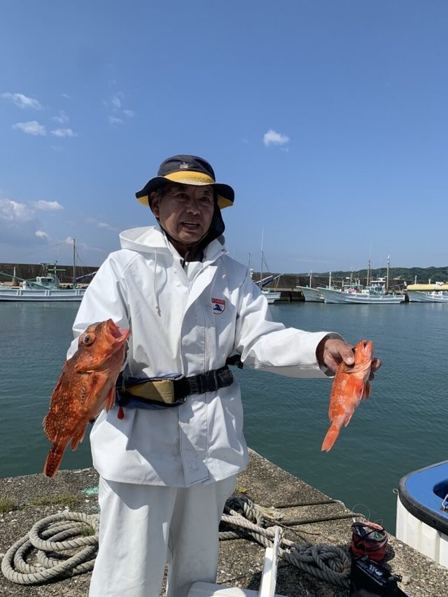 オニカサゴ・カンコ(ウッカリカサゴ)