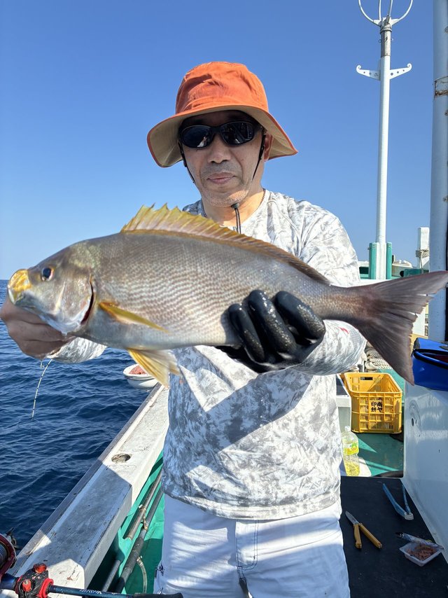 イサギ(イサキ)