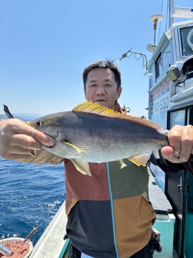 イサギ(イサキ)