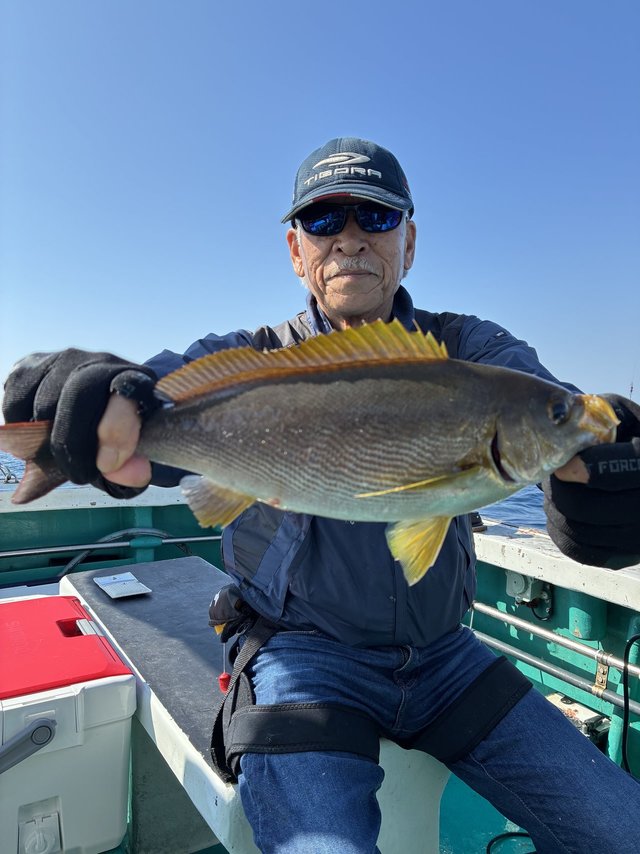 イサギ(イサキ)