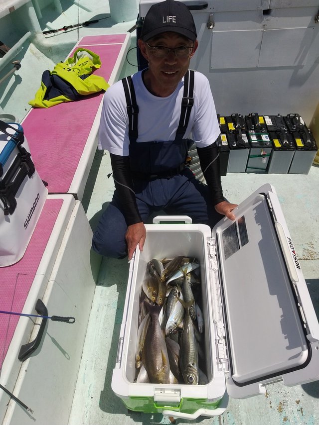 アジ(マアジ)・イサキ