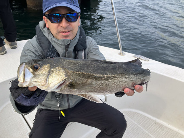 シーバス(スズキ)