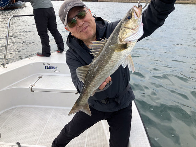 シーバス(スズキ)