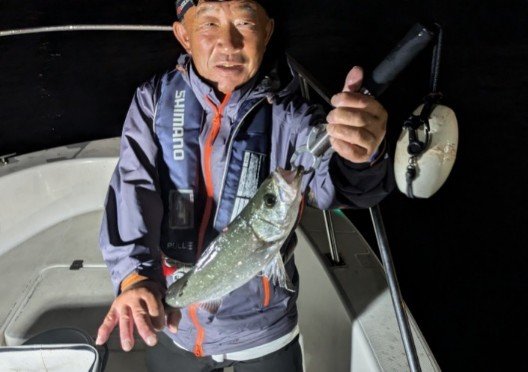 シーバス(スズキ)