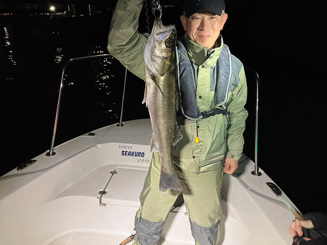 シーバス(スズキ)