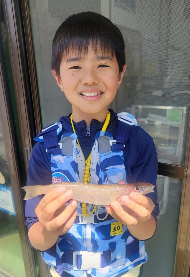 キス(シロギス)