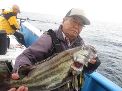 イシナギ(オオクチイシナギ)