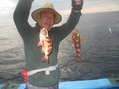 メバル(ウスメバル)