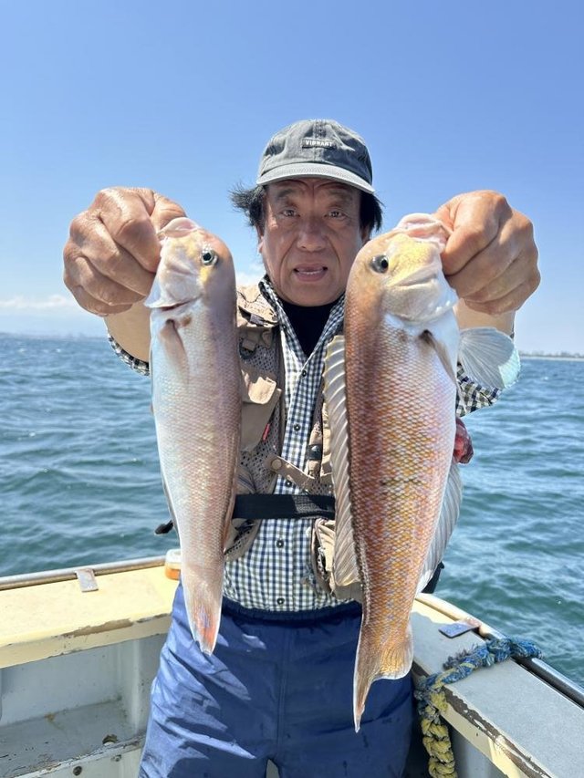 アマダイ(アカアマダイ)