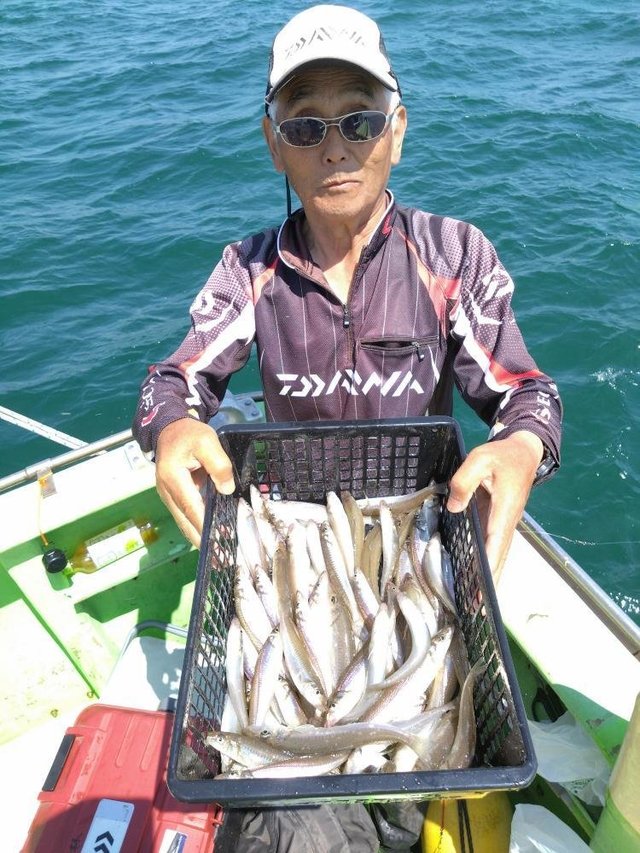 シロキス(シロギス)