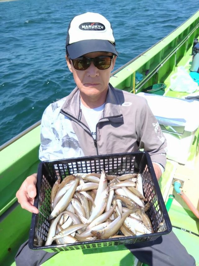 シロキス(シロギス)