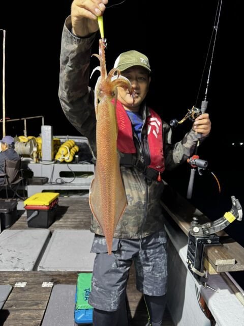 イカ(ヤリイカ)