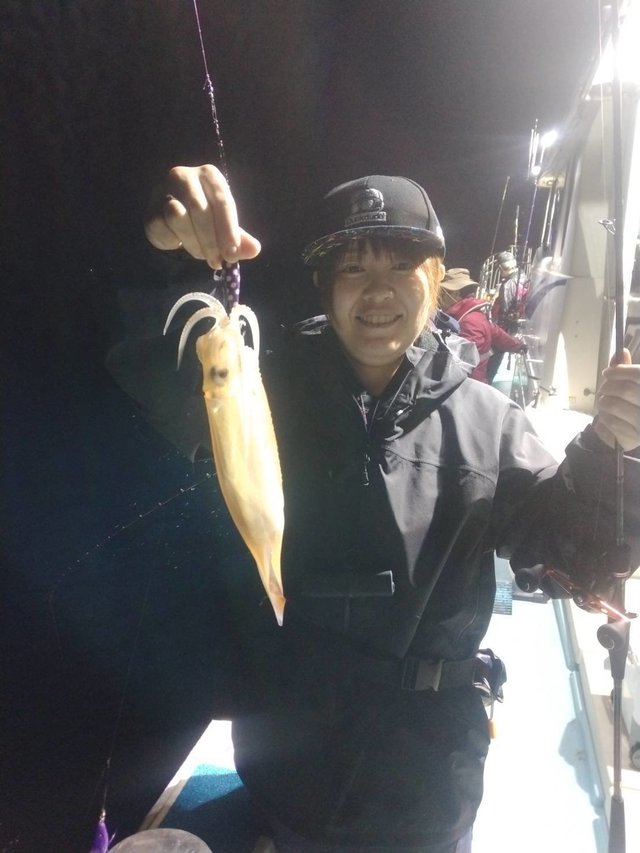 イカ(ヤリイカ)