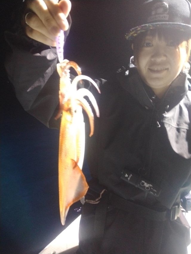 イカ(ヤリイカ)